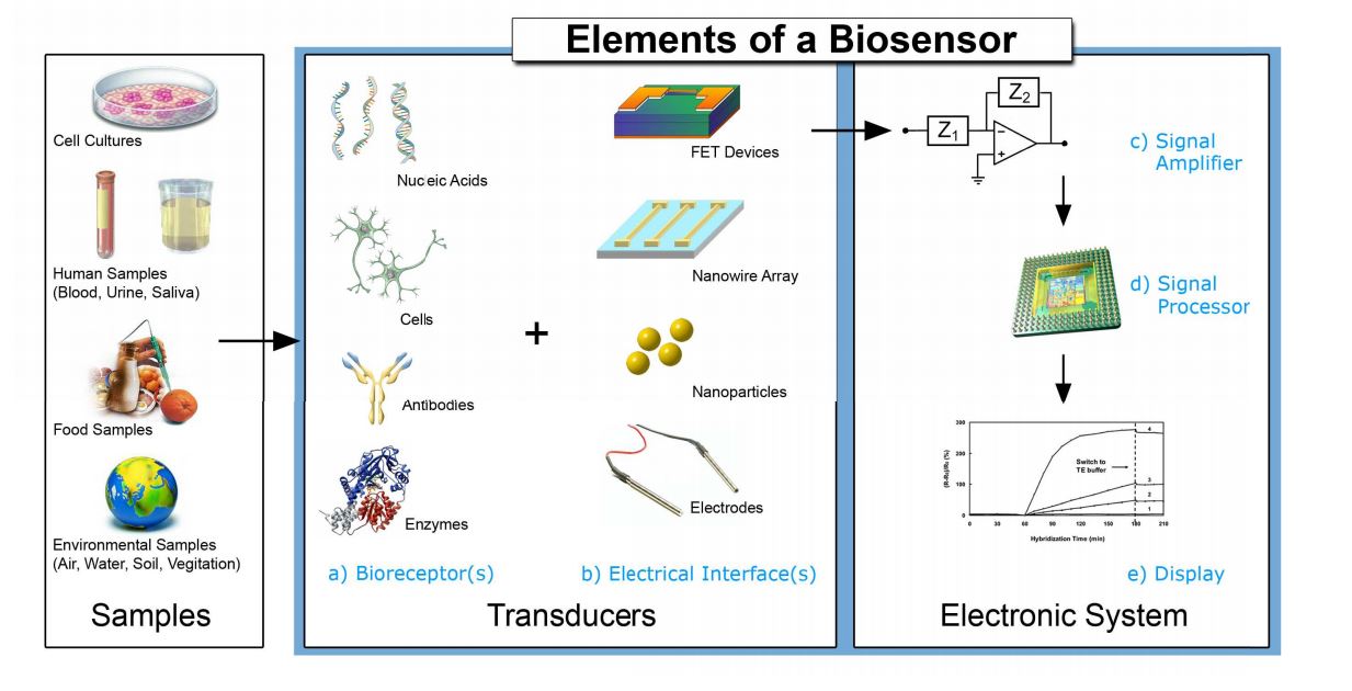 biosensors bioelectronics eth