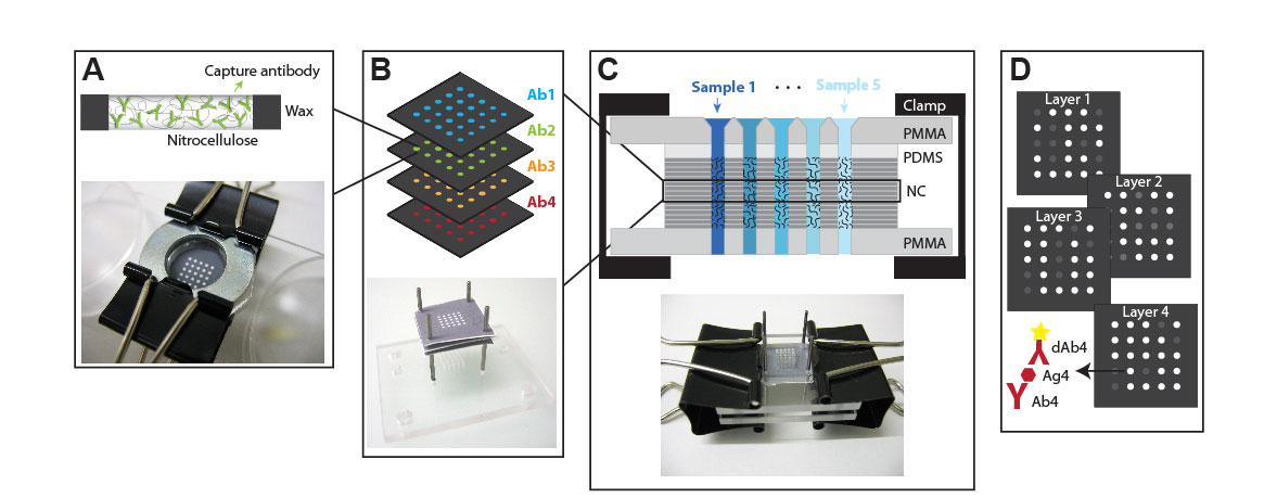 Delange Experiments